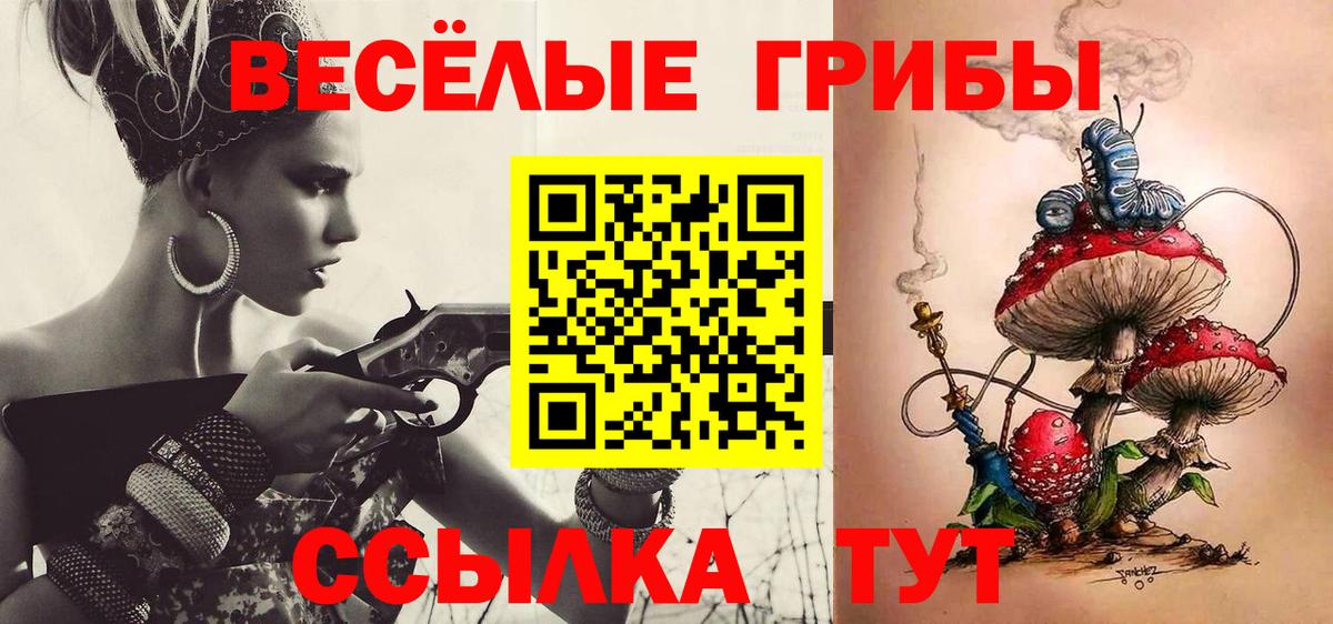 Псилоцибиновые грибы ЛСД Новотроицк